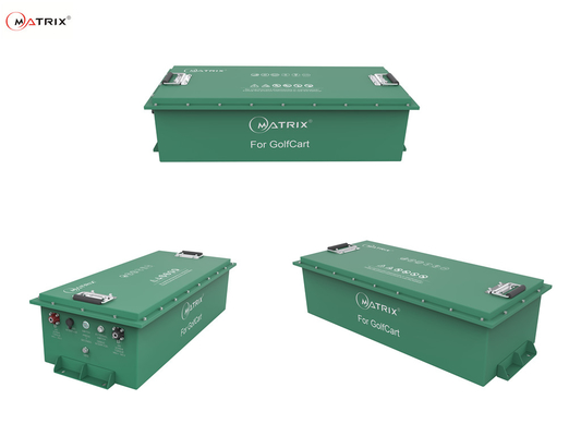 Litio recargable de encargo Ion Batteries del carro de golf de la batería LiFePO4 48V