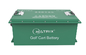 baterías del carro de golf de Ion Deep Cycle Battery 48V del litio 105Ah